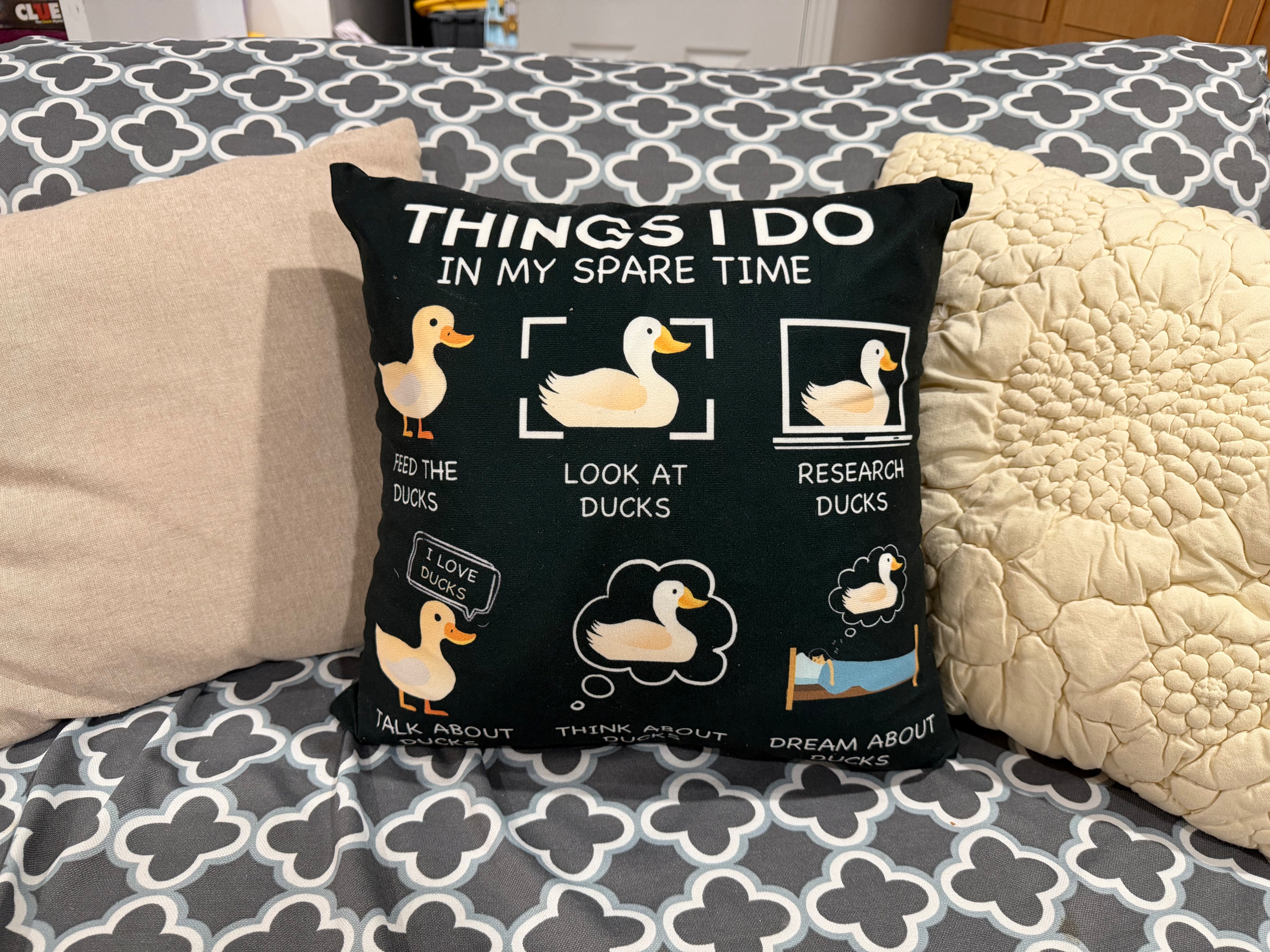 Duck Life Pillow
