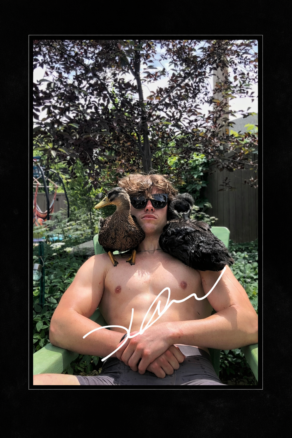 Cliff & Hawk — Signed Official Poster